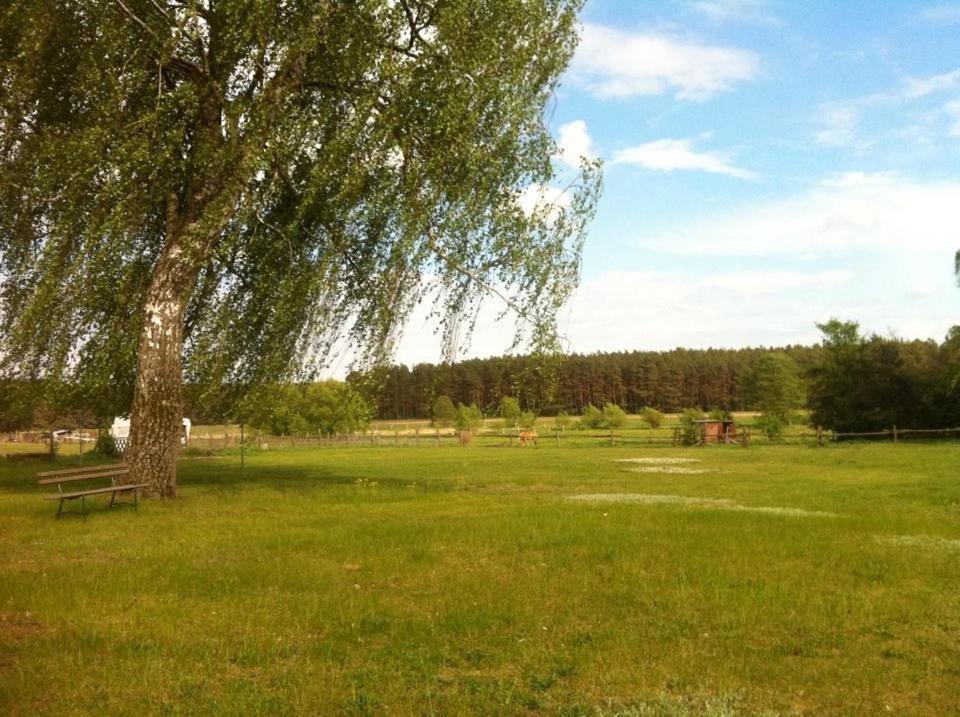 Landhotel Am Peetscher See 米罗 外观 照片